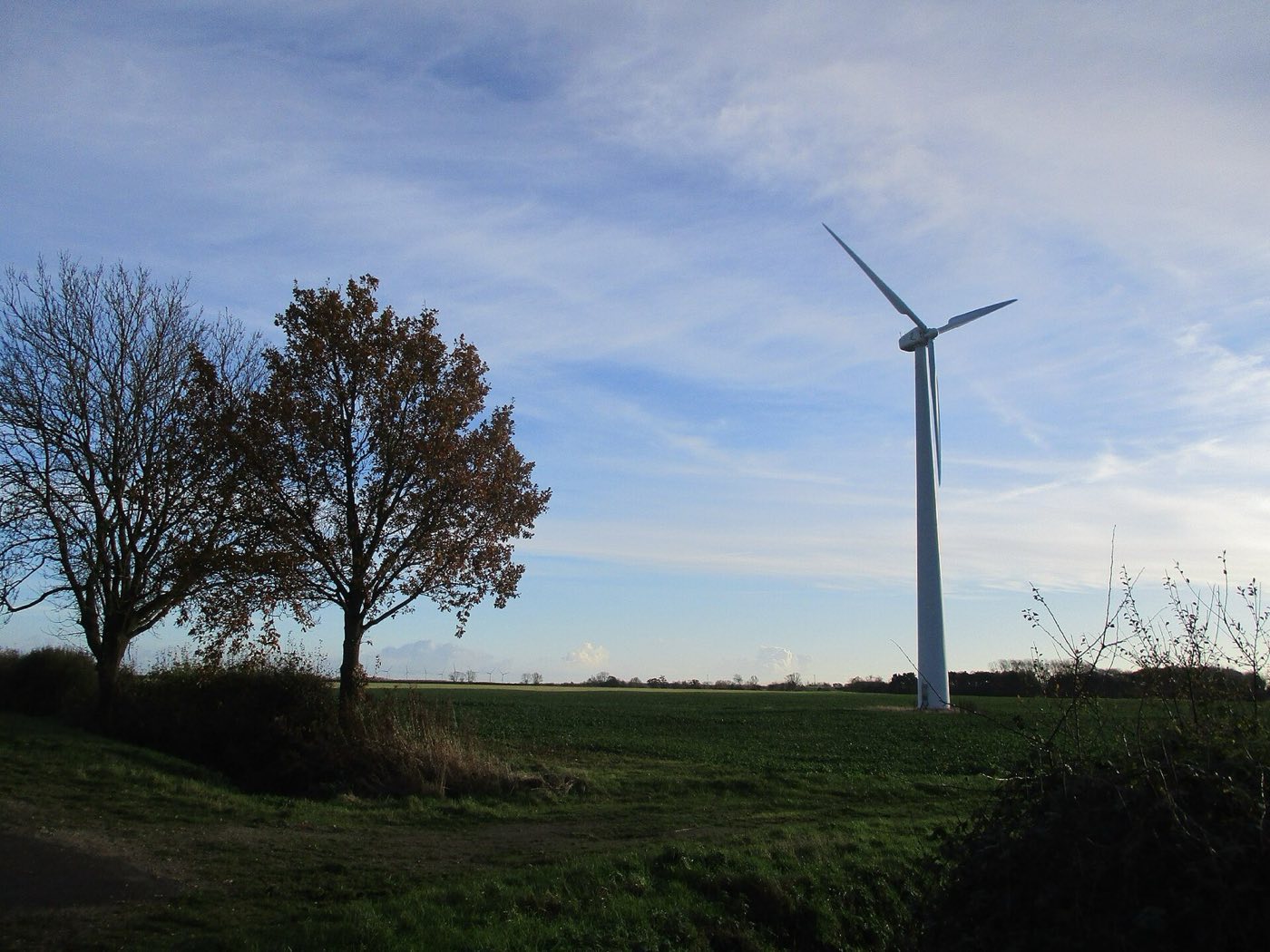 Wind turbines on open rangeland